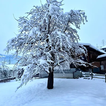 Stoecklgut Prázdninový dům Niedernsill