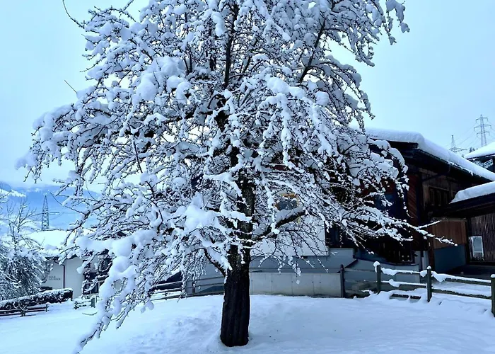 Stoecklgut 펜션 니에데른실